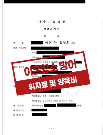 이혼항소 방어 사례