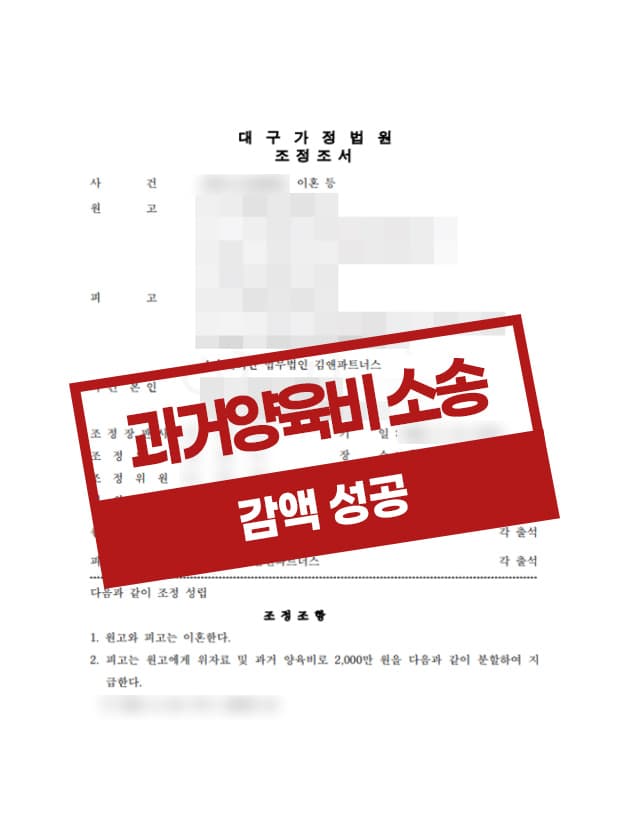 조정 절차를 통해 위자료 및 과거양육비 청구를 방어한 사례