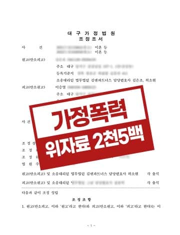 가정폭력남편 위자료2500만원 친권양육권