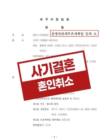 친생자관계부존재확인 DNA불일치 혼인취소 위자료청구